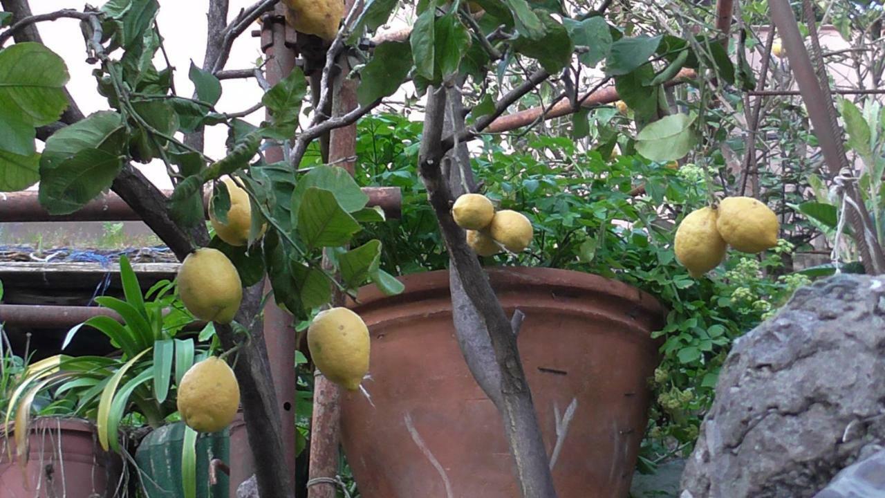 Apartmán Il Golfo E I Limoni La Spezia Exteriér fotografie